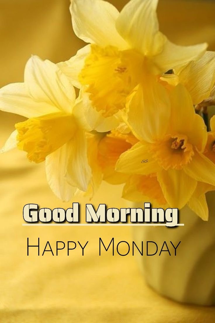 Good Morning Monday Images for Whatsapp