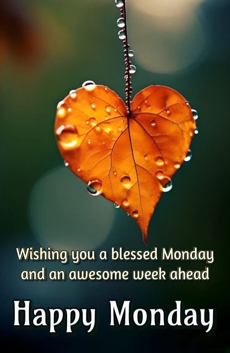 Good Morning Monday Images for Whatsapp