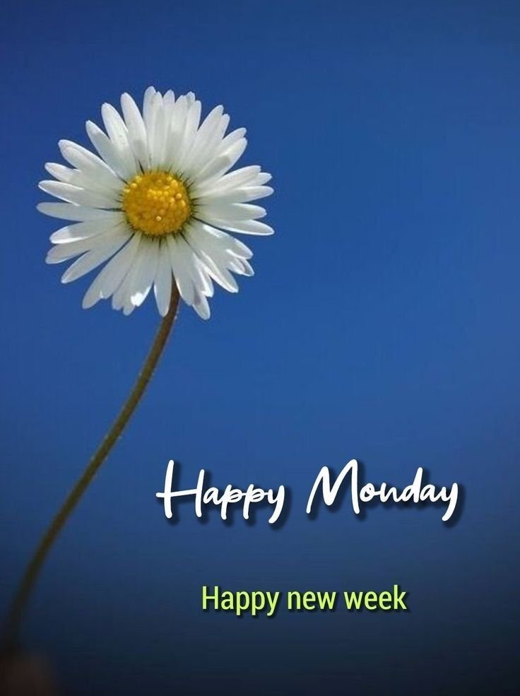 Good Morning Monday Images for Whatsapp