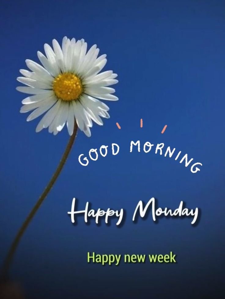 Good Morning Monday inspirational images