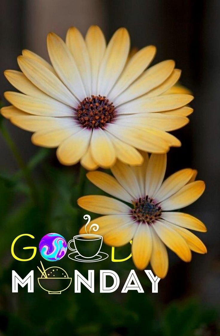 Good Morning Monday inspirational images