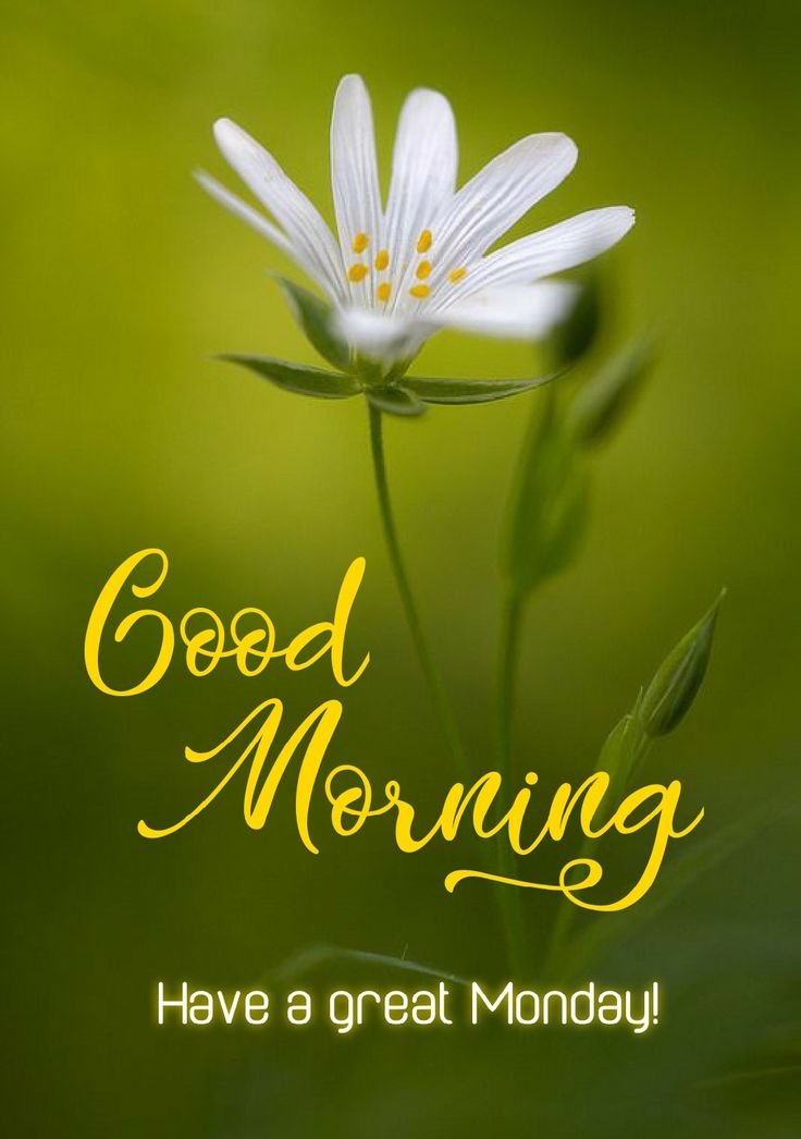 Good Morning Monday inspirational images