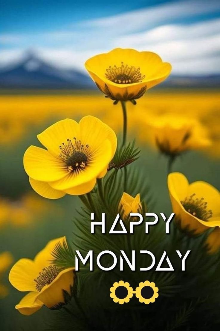 Good morning monday photos download