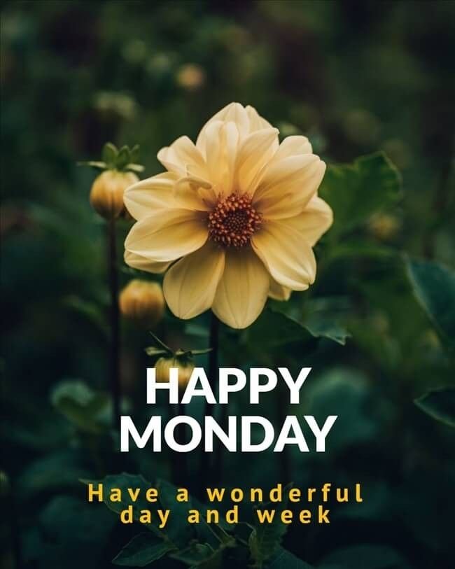 Good morning monday photos download