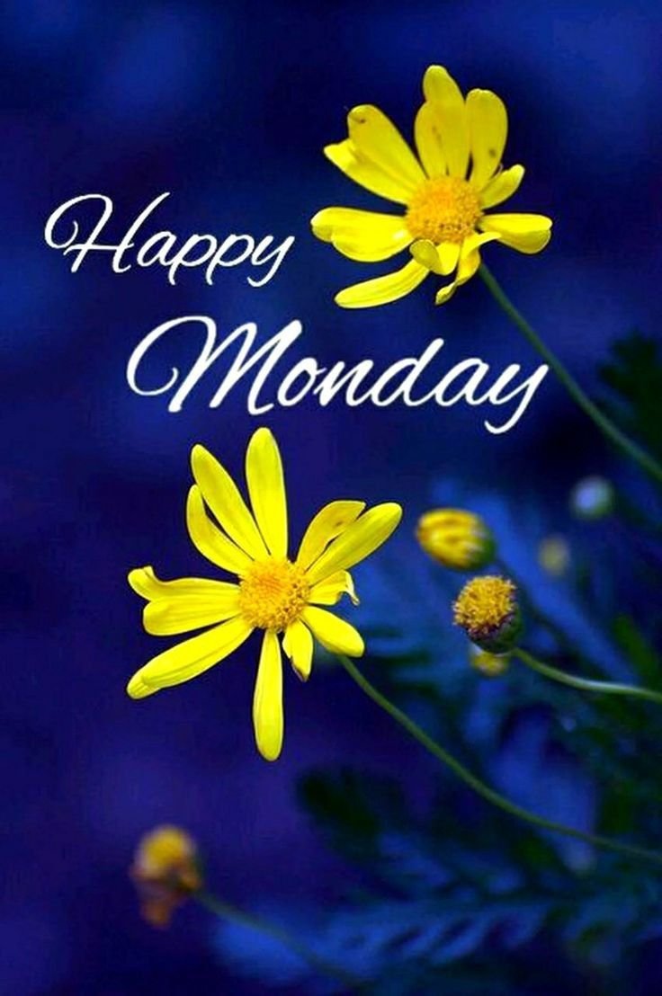 Good morning monday photos download
