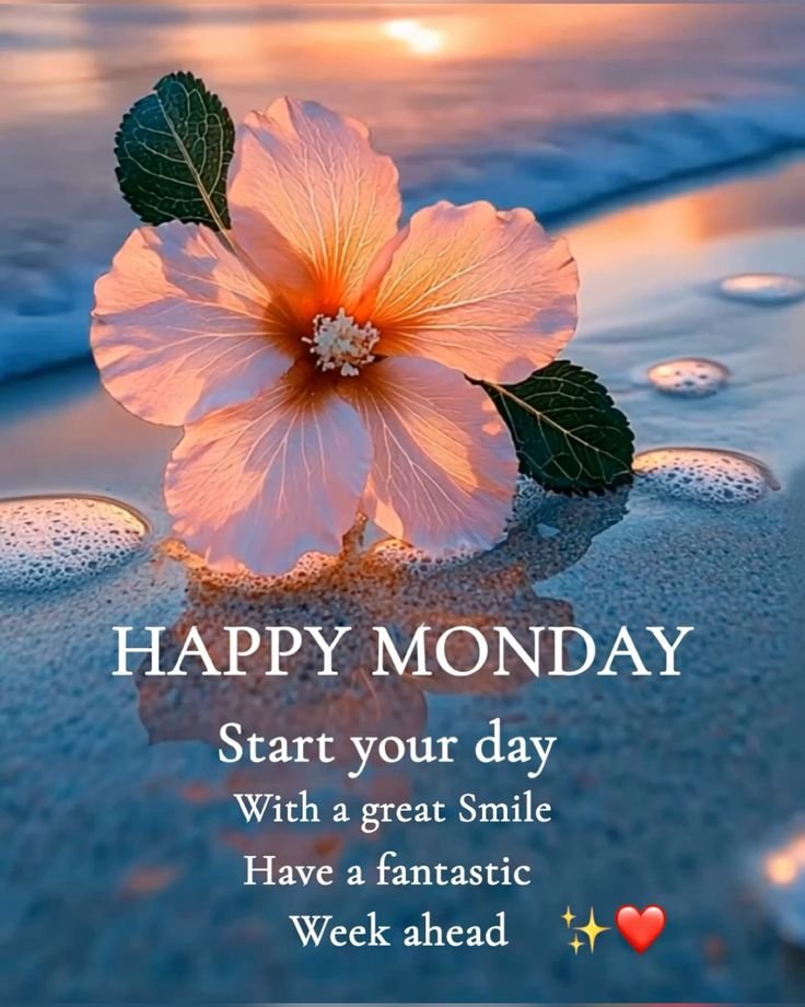 Good Morning Monday Images