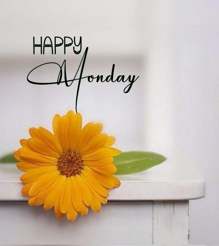 Good Morning Monday Photo