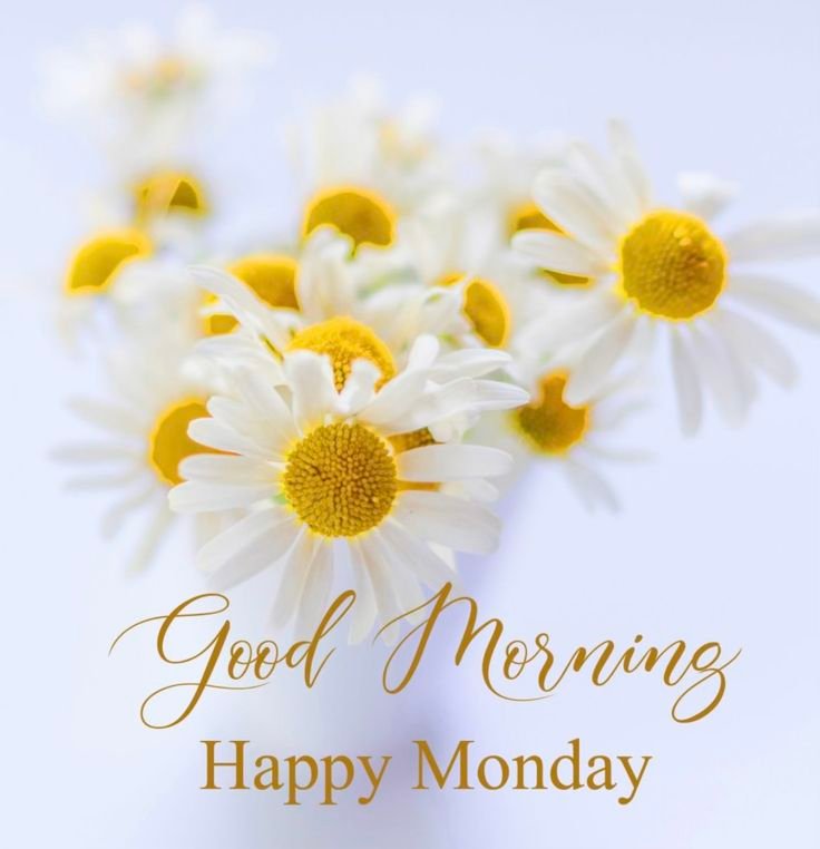 Good Morning Monday Images