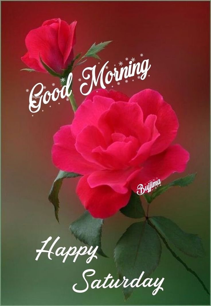 Good Morning Saturday Images for whatsapp