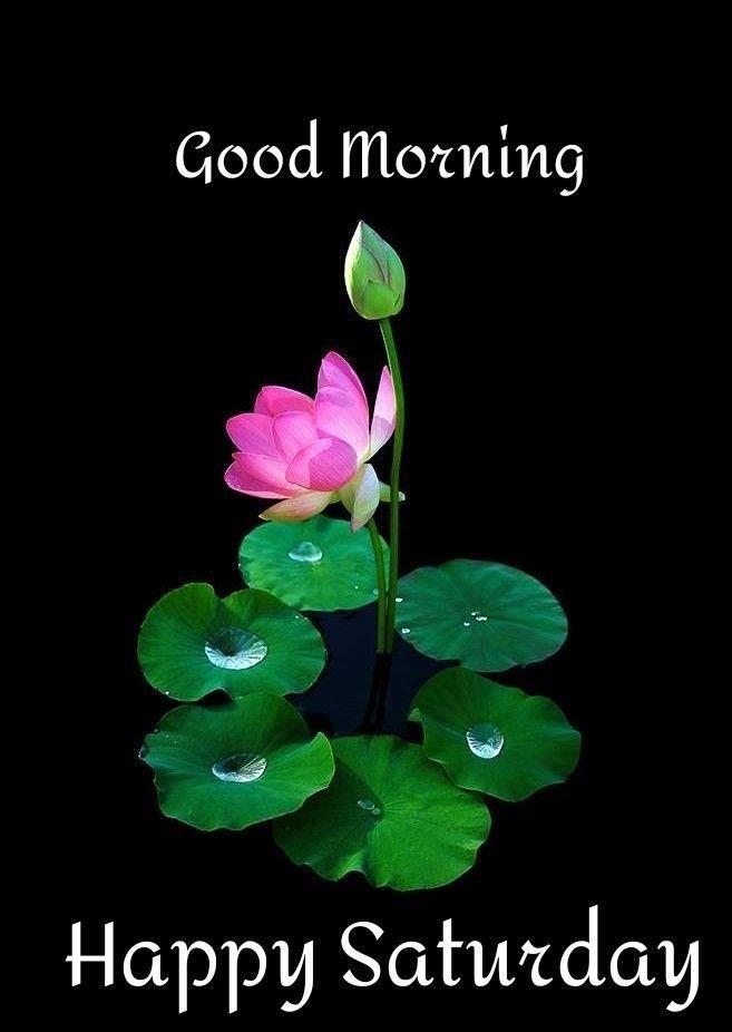 Happy Good Morning Saturday Images 