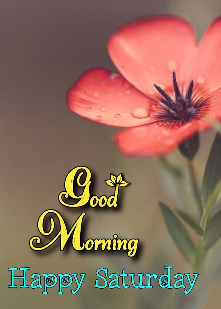 Happy Good Morning Saturday Images 