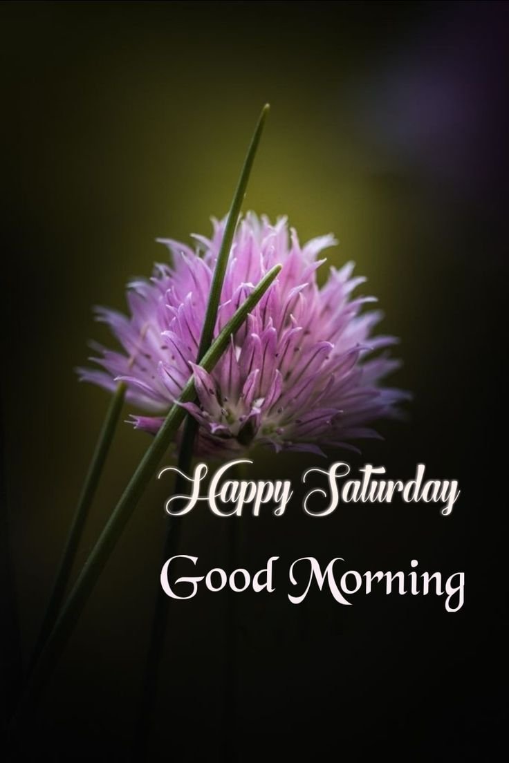 Happy Good Morning Saturday Images 
