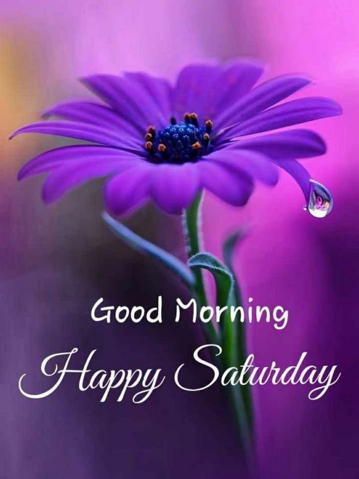 Happy Good Morning Saturday Images 