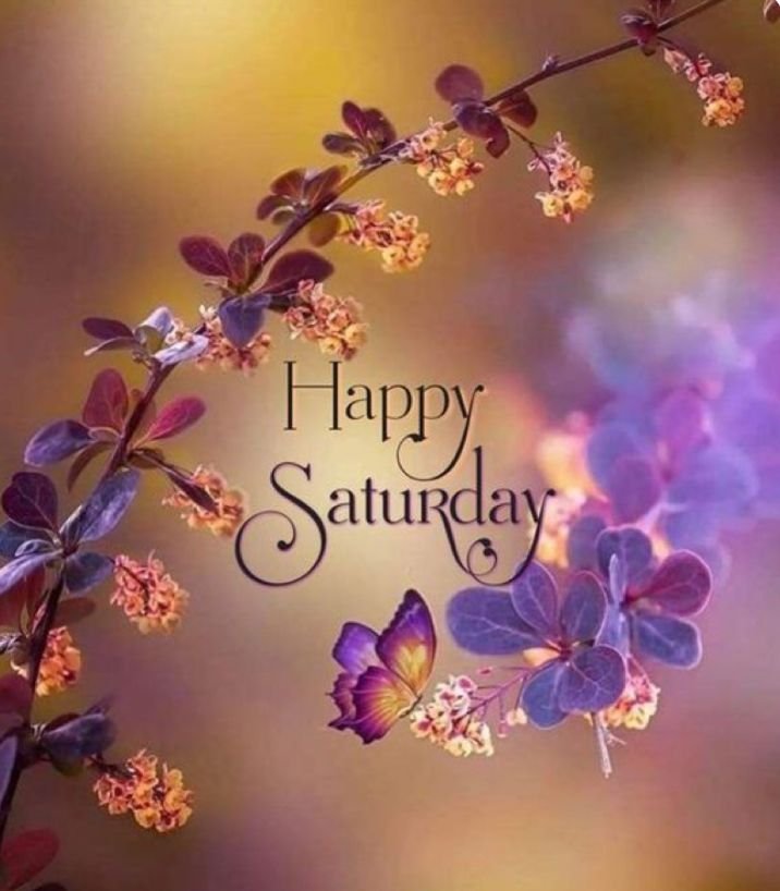 Happy Good Morning Saturday Images 