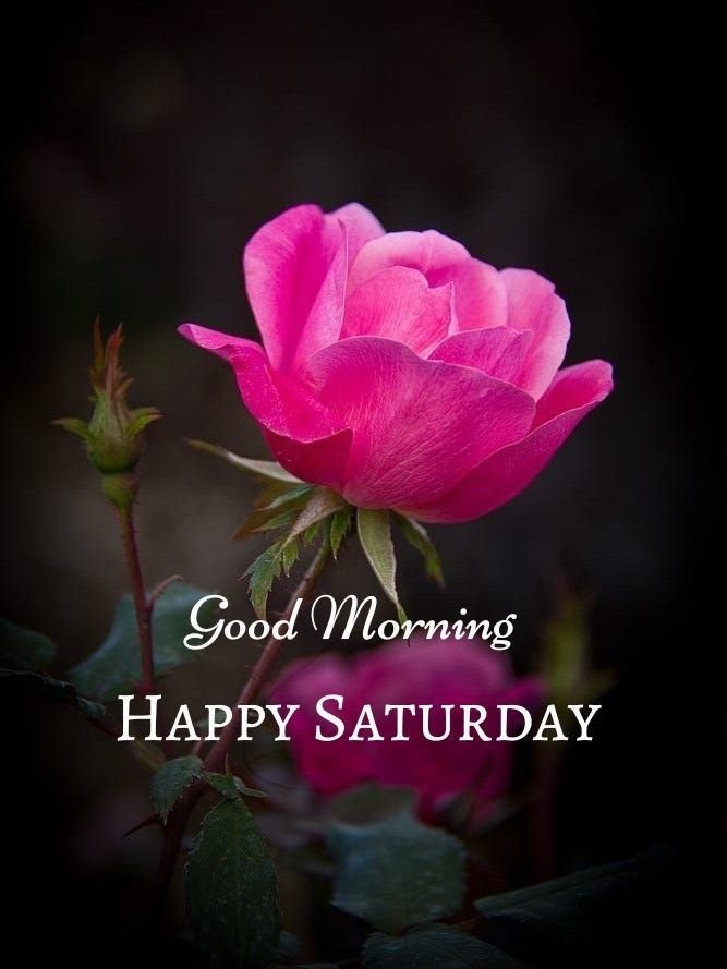 Happy Good Morning Saturday Images 