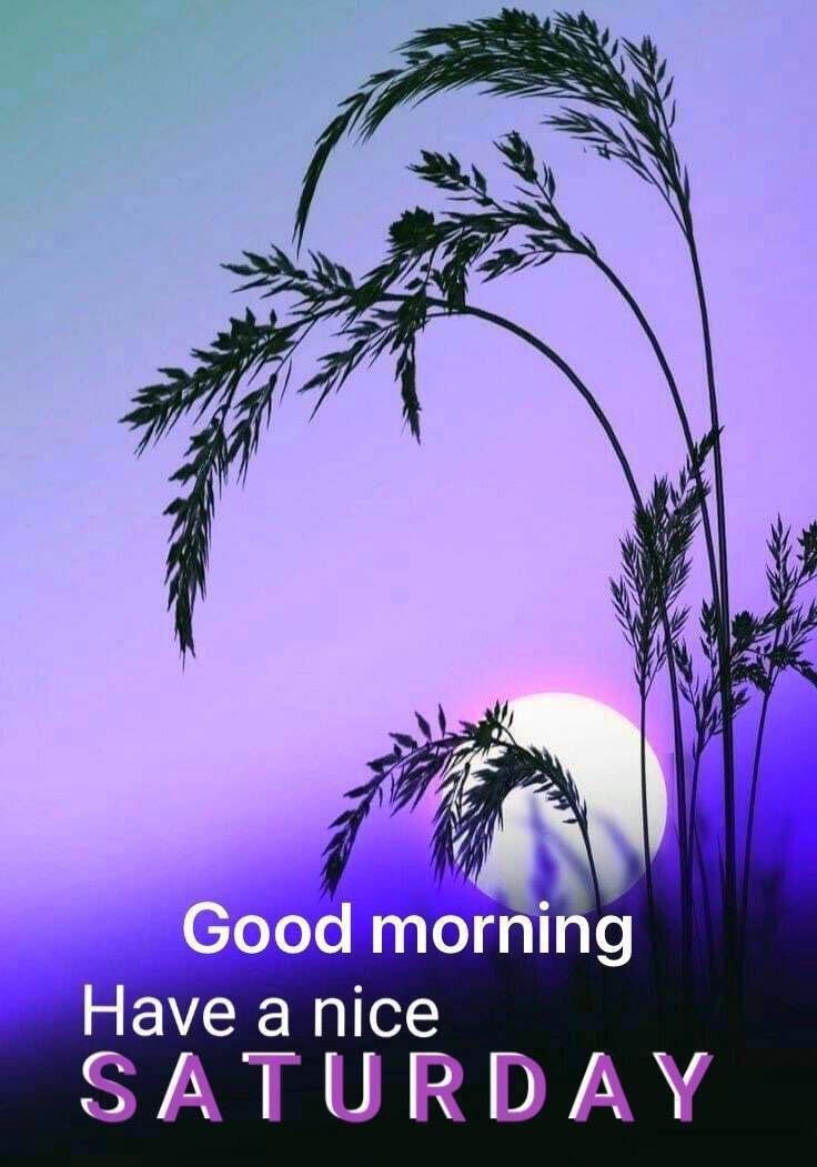 Good Morning Saturday Images for whatsapp