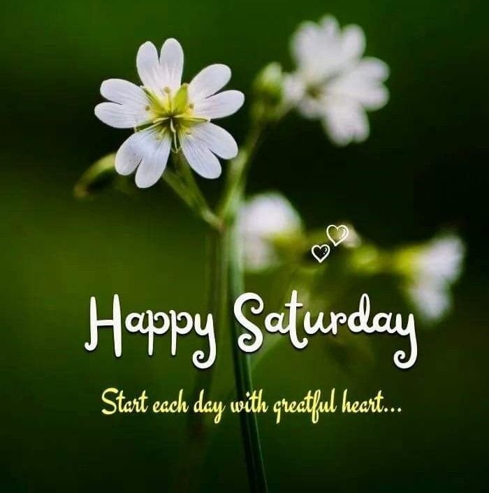 Good Morning Saturday Images