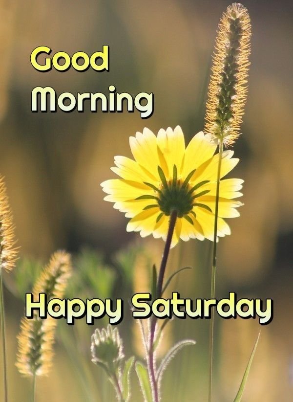 Good Morning Saturday Images