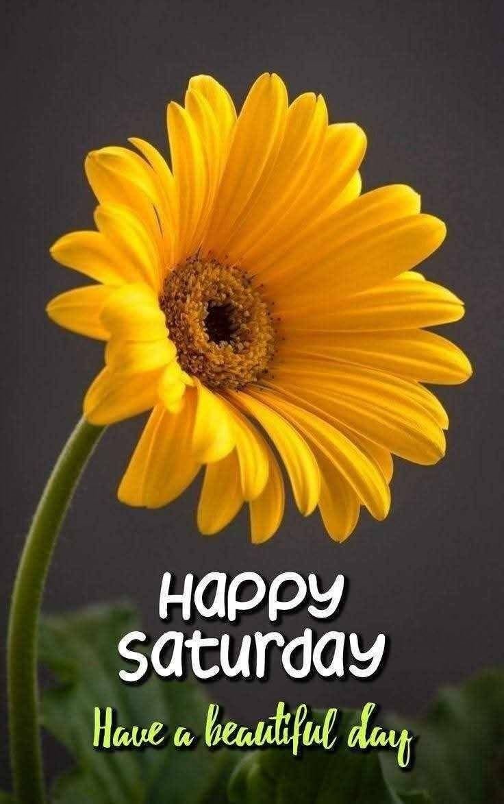 Good Morning Saturday Images