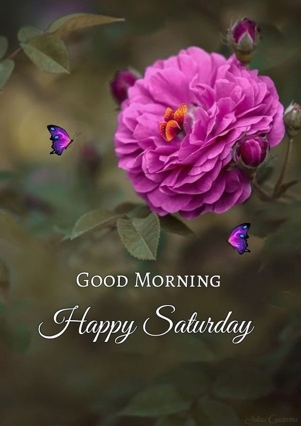 Good Morning Saturday Images