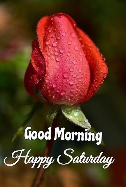 Good Morning Saturday Images