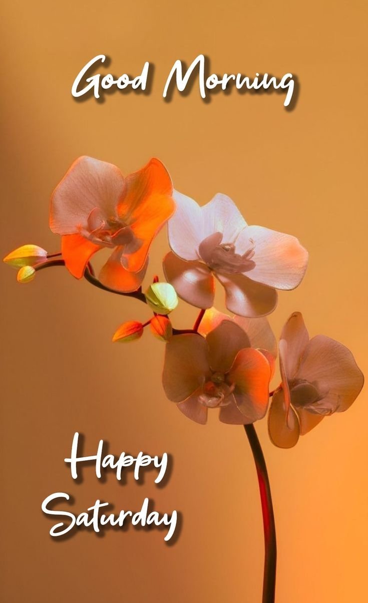 Saturday Good Morning Photos