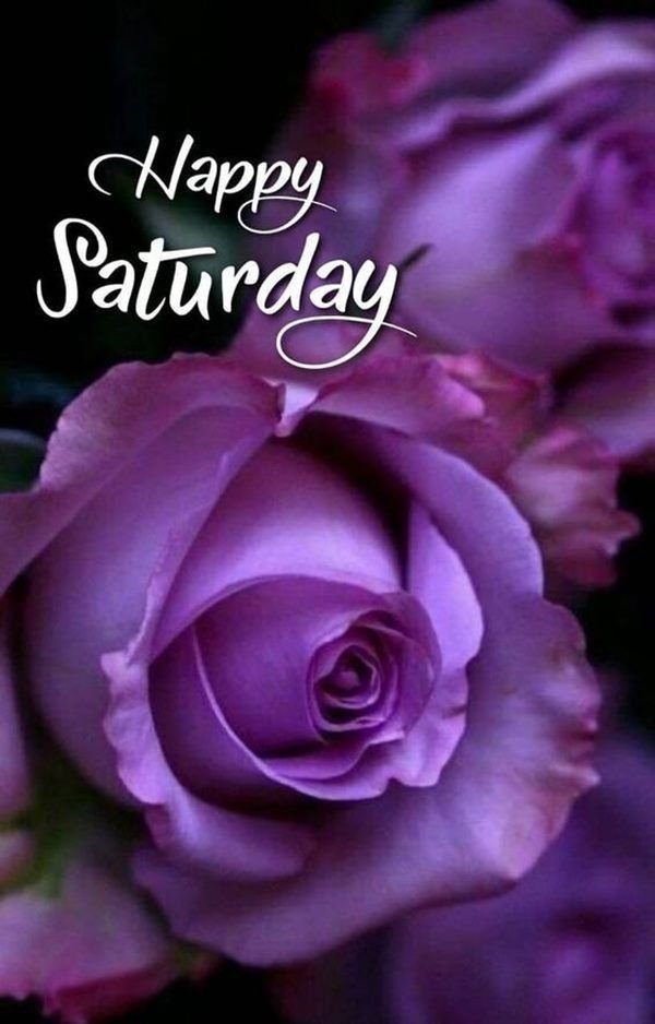 Saturday Good Morning Photos