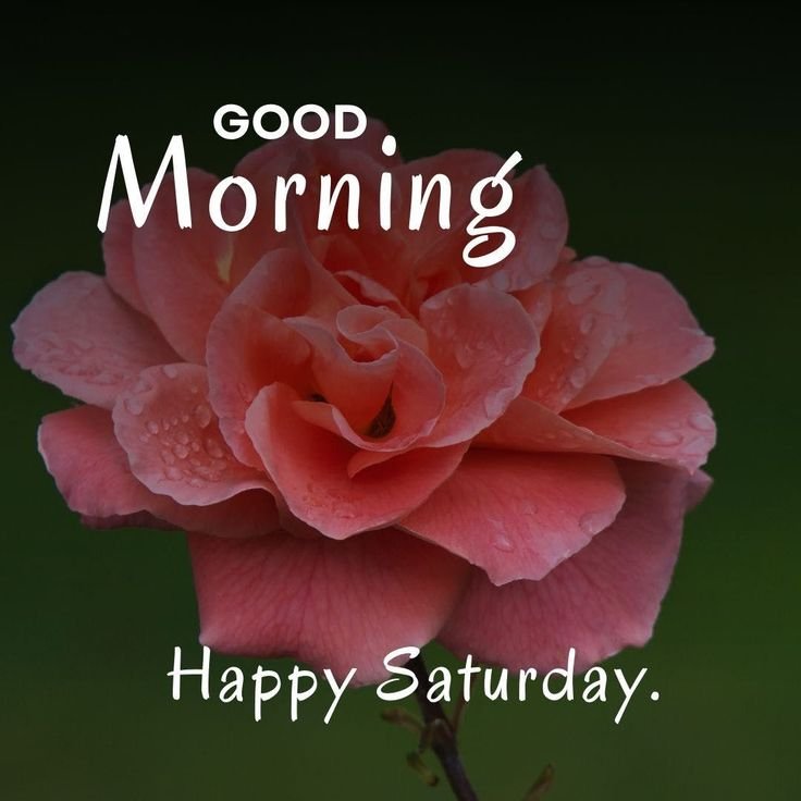 Saturday Good Morning Photos