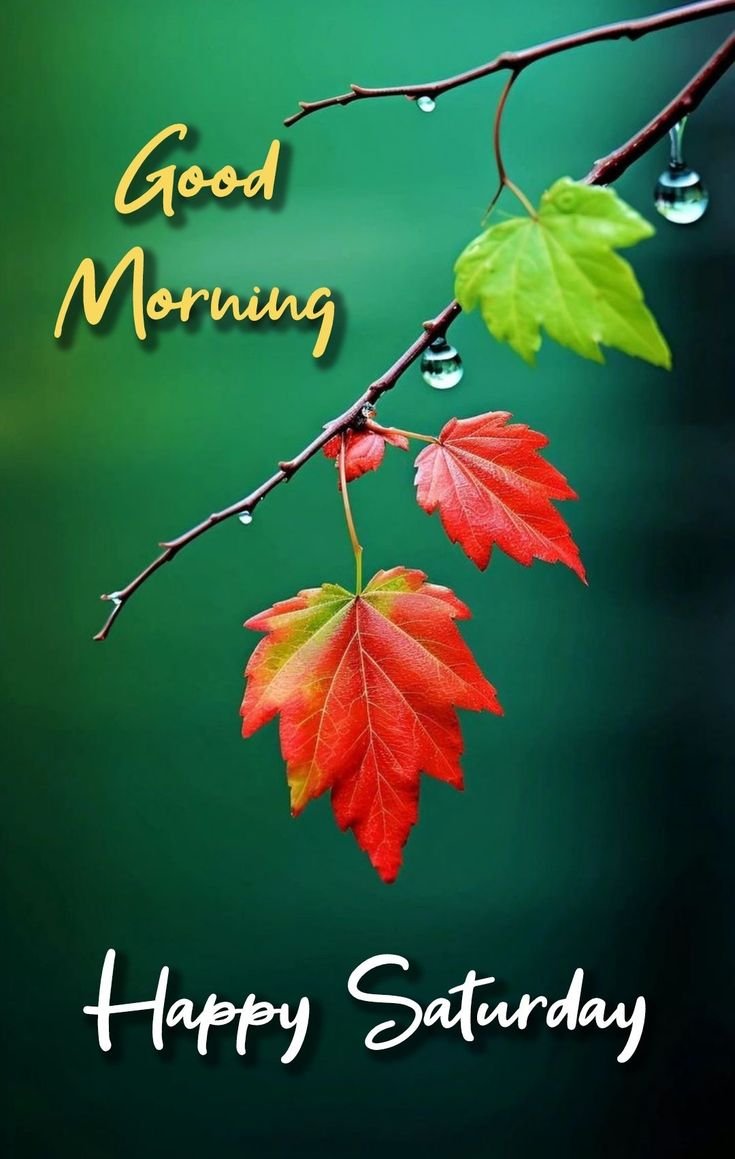 Saturday Good Morning Photos