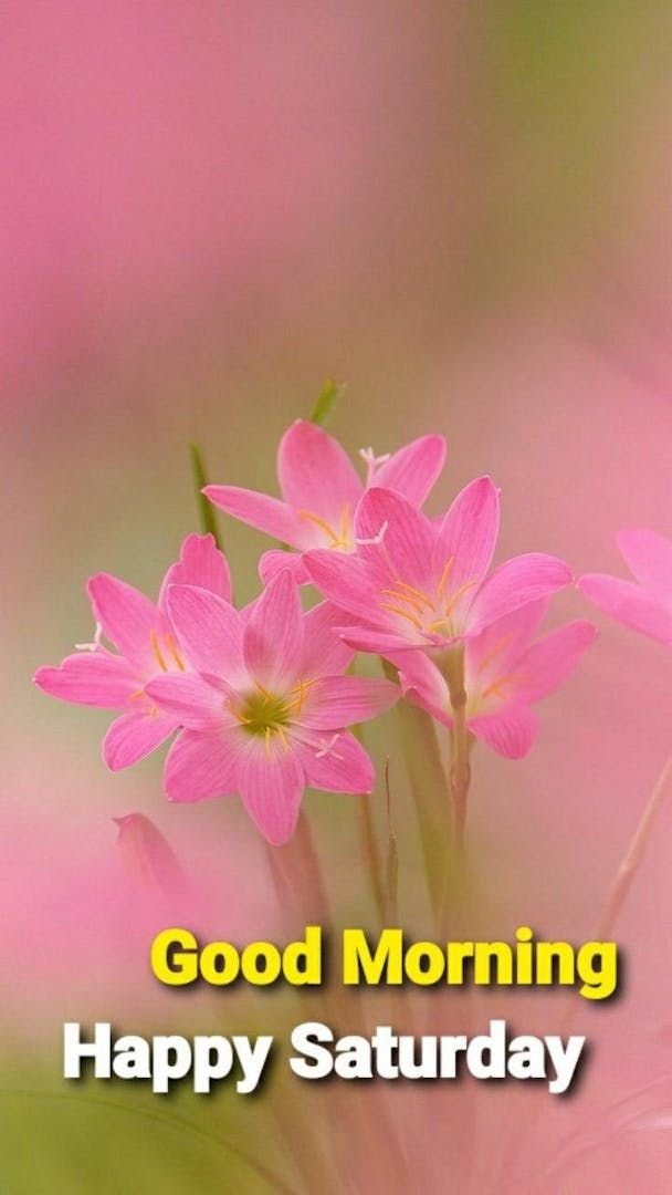 Saturday Good Morning Photos