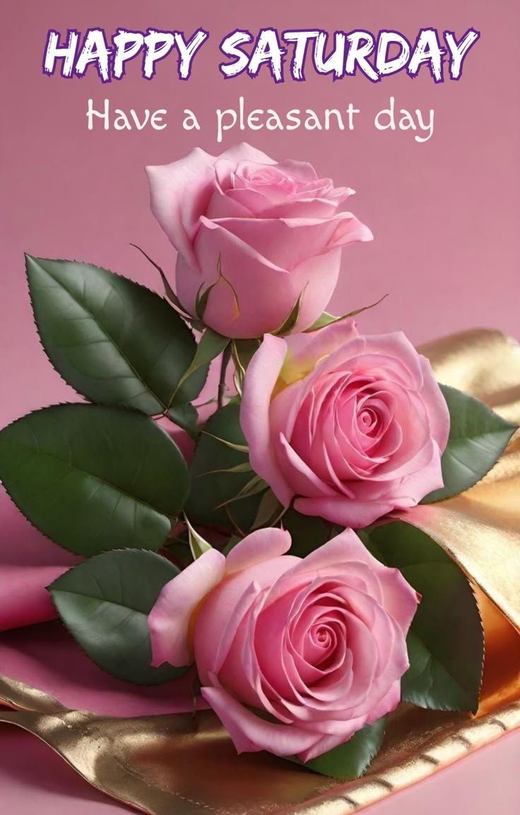 Saturday Good Morning Photos