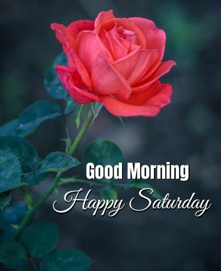 Saturday Good Morning Photos