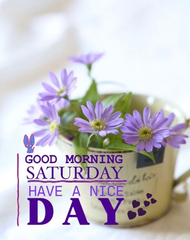 Saturday Good Morning Photos