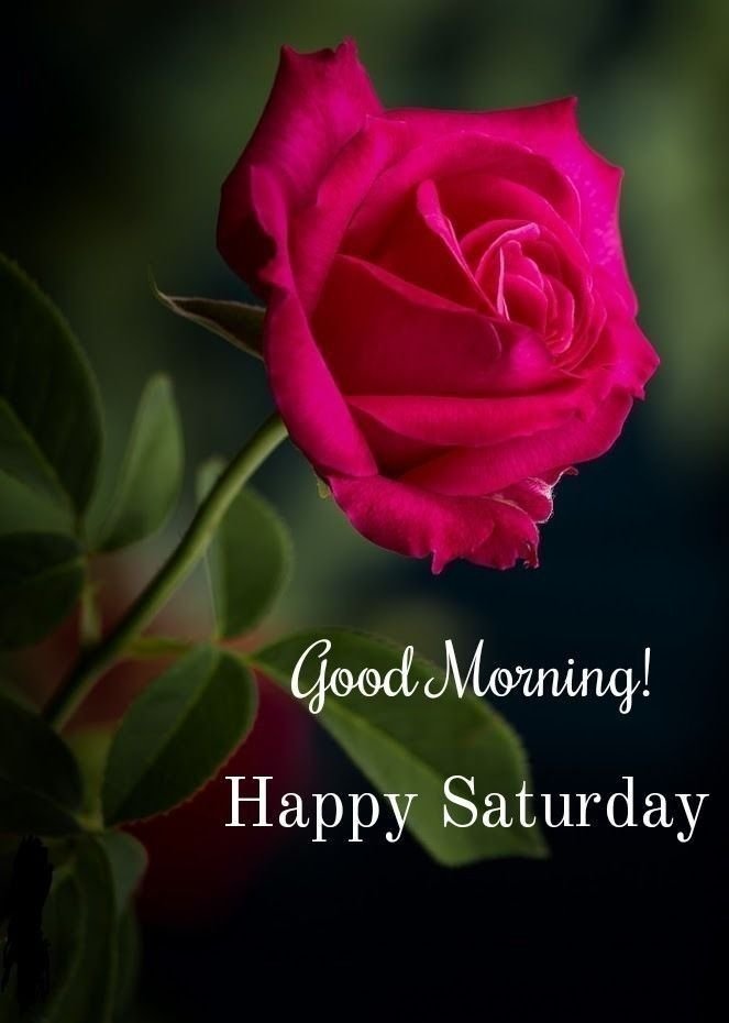 Good Morning Saturday Images for whatsapp