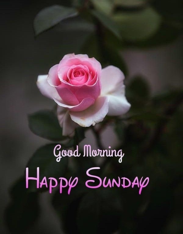 Good Morning Saturday Images for whatsapp