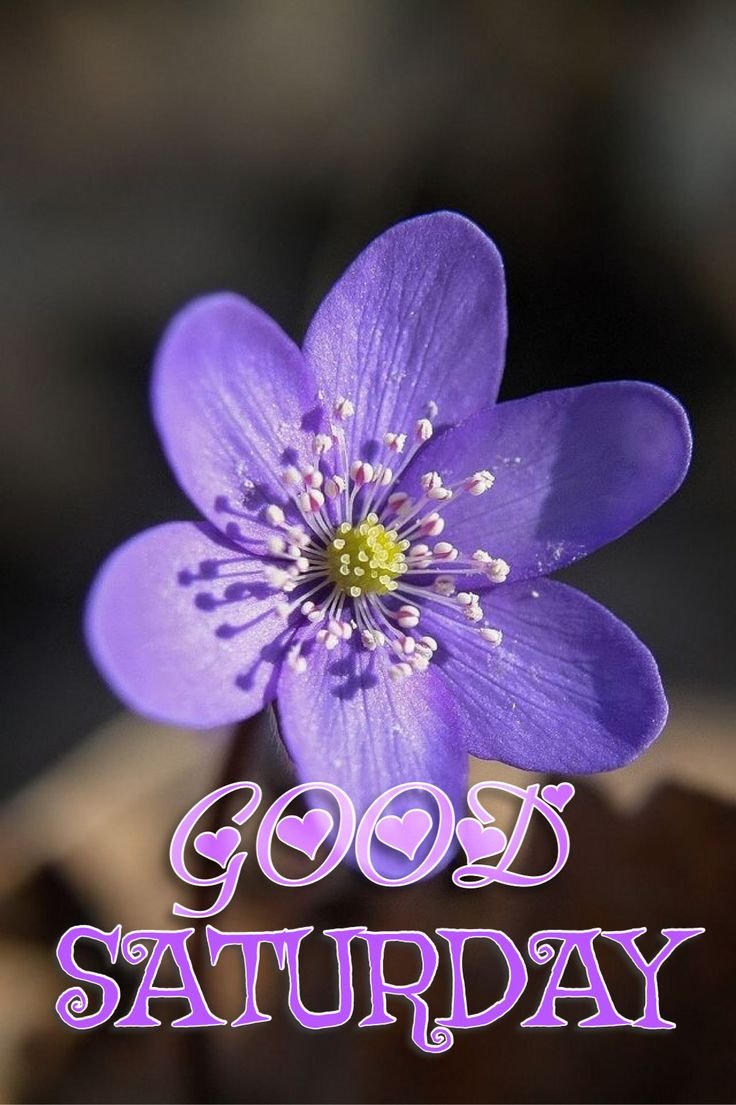 Good Morning Saturday Images for whatsapp