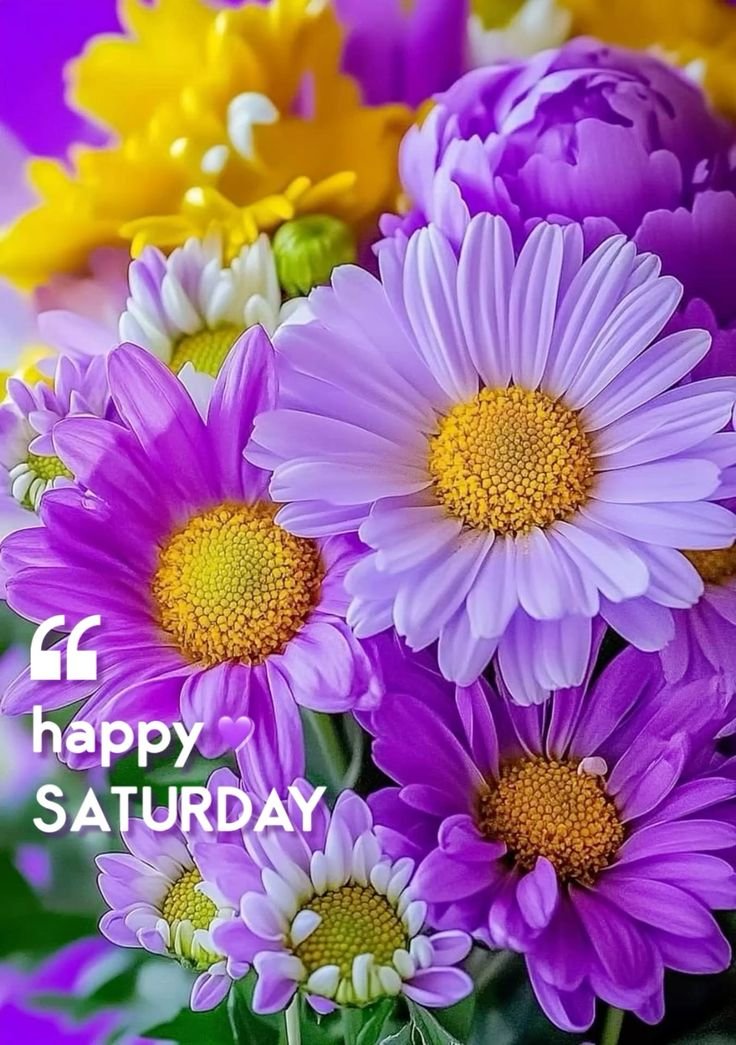 Happy Good Morning Saturday Images 