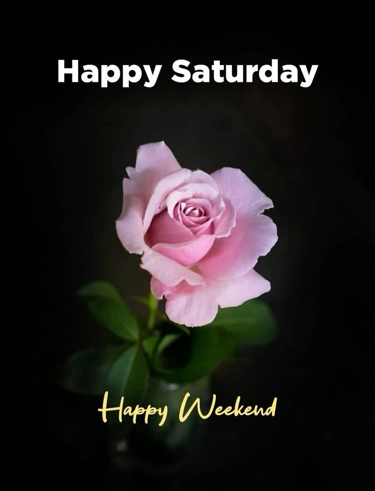 Happy Good Morning Saturday Images 