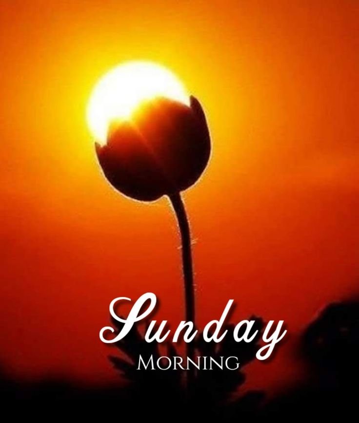 Good Morning Sunday Images