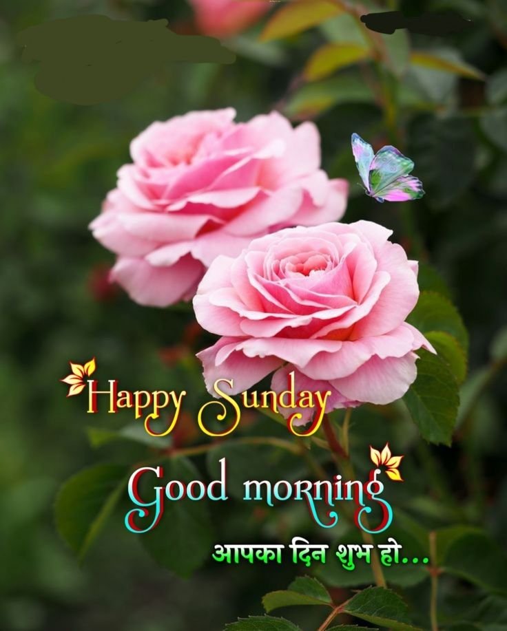 Good Morning Sunday Images