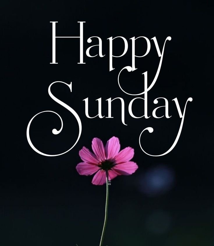 Happy Sunday Good Morning Photos