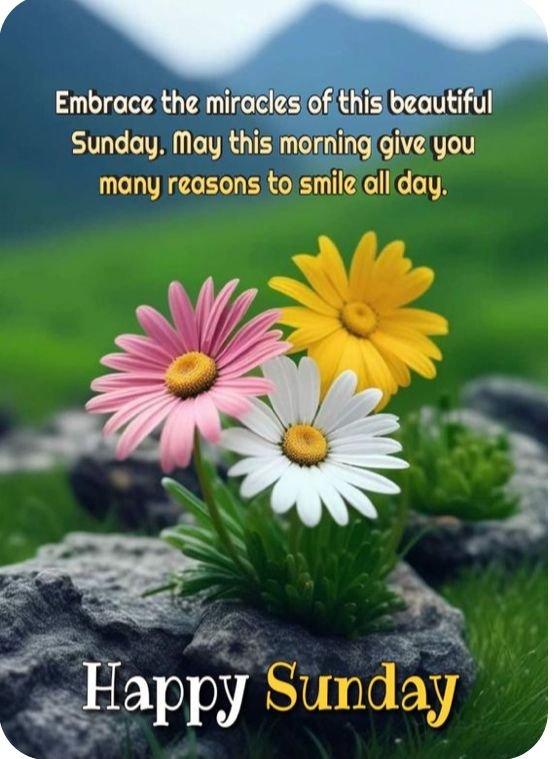 Happy Sunday Good Morning Photos