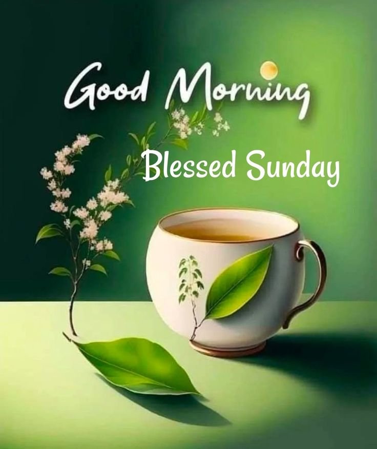 Happy Sunday Good Morning Photos