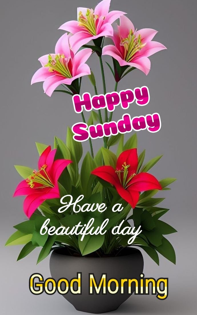 Happy Sunday Good Morning Photos