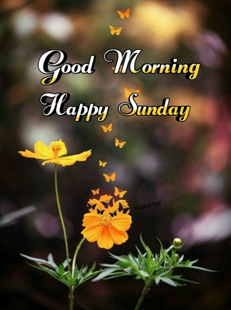 Happy Sunday Good Morning Photos