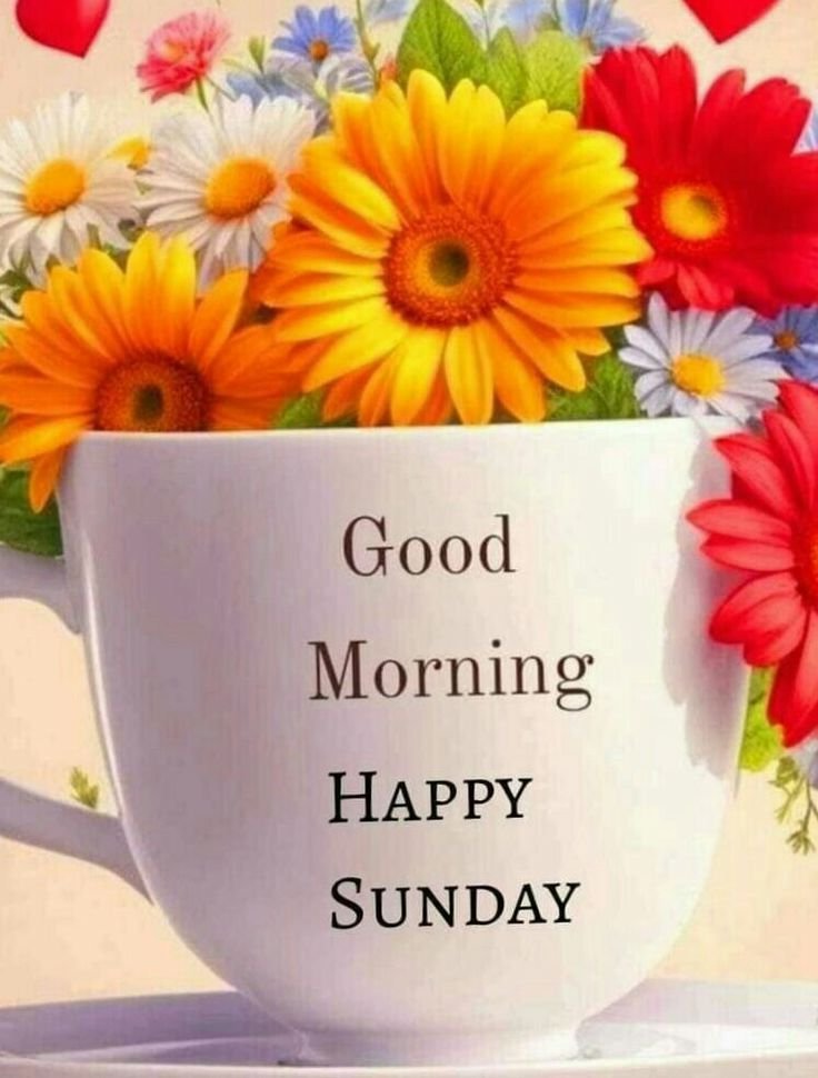 Happy Sunday Good Morning Photos