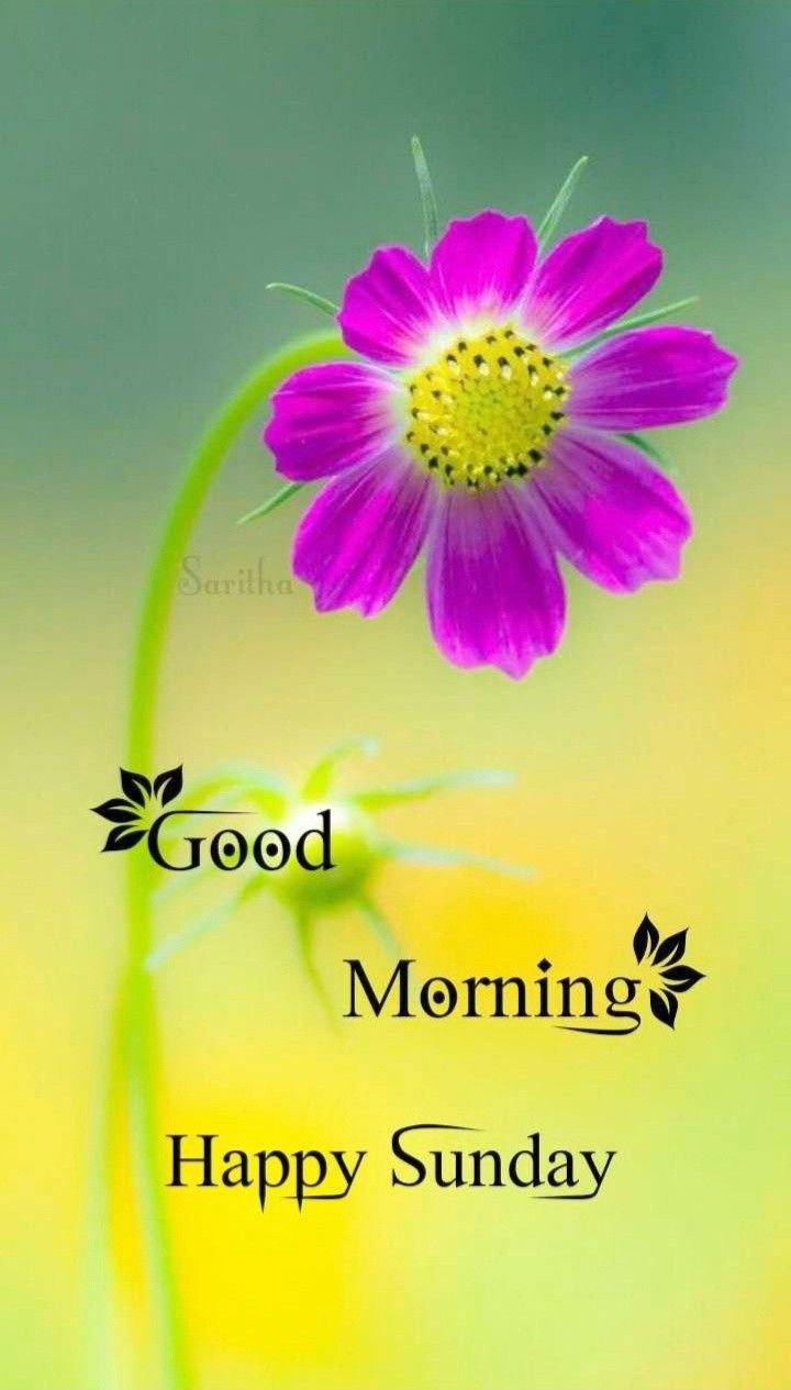 Happy Sunday Good Morning Photos