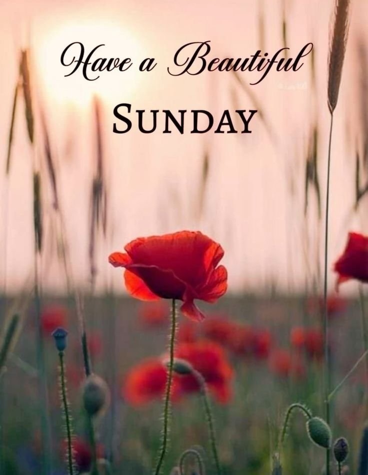 Good Morning Sunday Images for WhatsApp