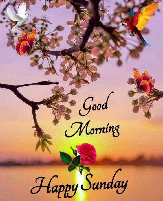 Good Morning Sunday Images for WhatsApp