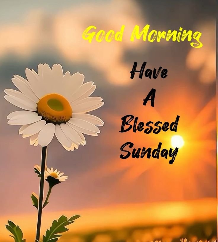 Happy Sunday HD Images